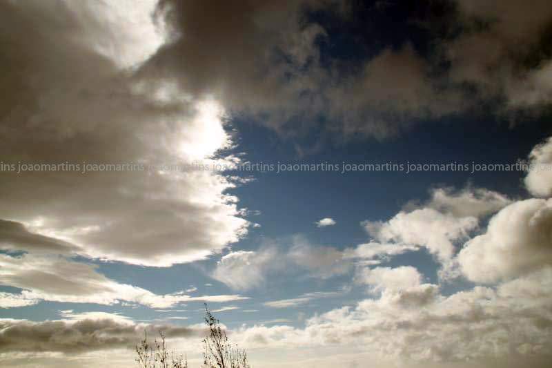 ai966.photobucket.com_albums_ae144_martinsjoao_Acores_IMG_5686_800.jpg