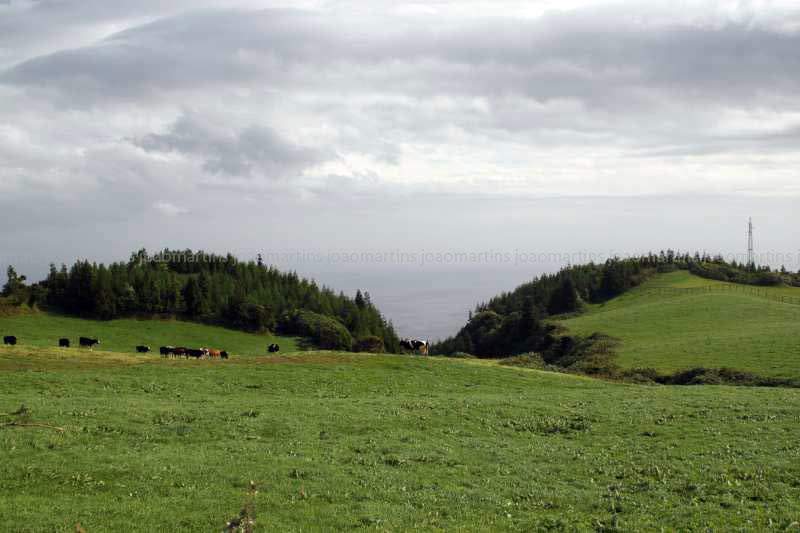 ai966.photobucket.com_albums_ae144_martinsjoao_Acores_IMG_5832_800.jpg