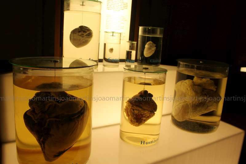 ai966.photobucket.com_albums_ae144_martinsjoao_Corunha_IMG_7052_800.jpg