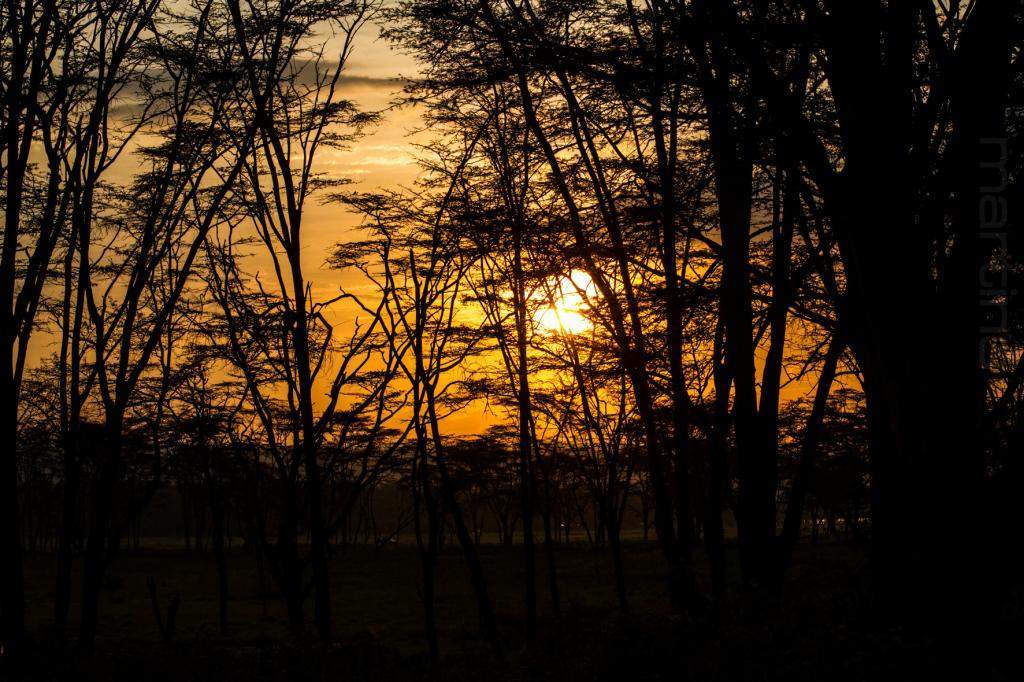 ai966.photobucket.com_albums_ae144_martinsjoao_Quenia_202__MG_1643.jpg