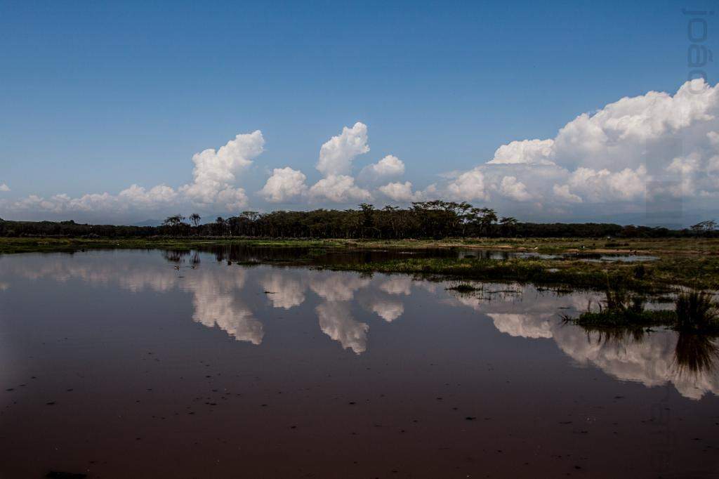 ai966.photobucket.com_albums_ae144_martinsjoao_Quenia_202_IMG_0983.jpg
