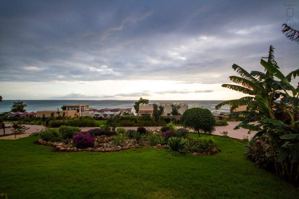 ai966.photobucket.com_albums_ae144_martinsjoao_Zanzibar__MG_2015.jpg