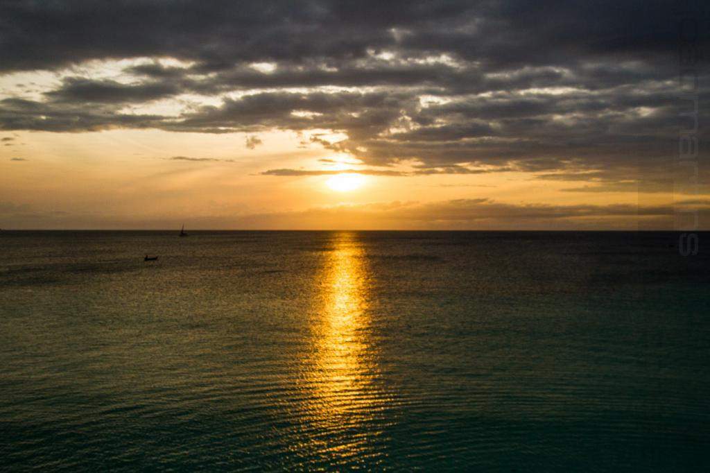 ai966.photobucket.com_albums_ae144_martinsjoao_Zanzibar__MG_2058.jpg