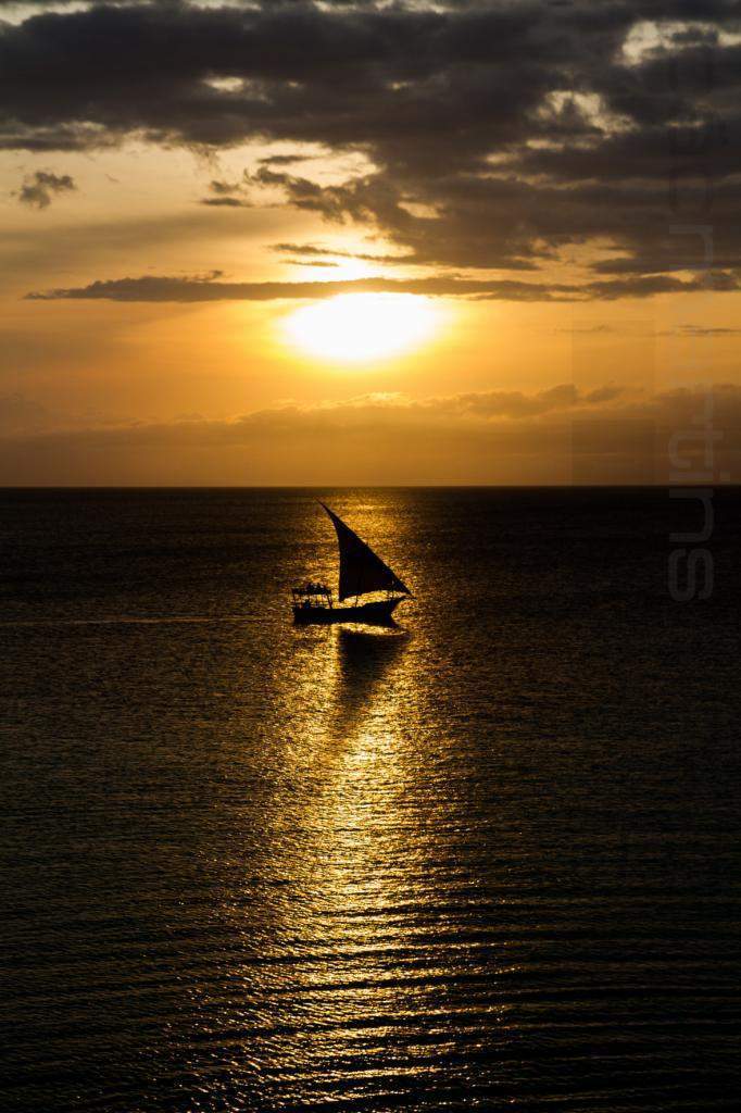 ai966.photobucket.com_albums_ae144_martinsjoao_Zanzibar__MG_2068.jpg