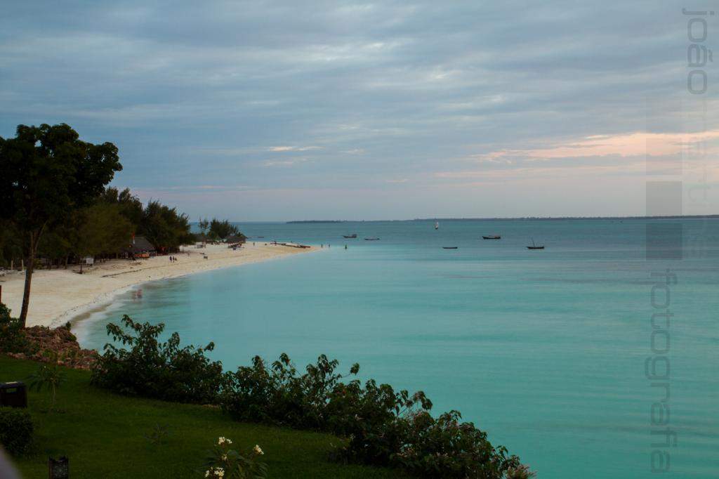 ai966.photobucket.com_albums_ae144_martinsjoao_Zanzibar__MG_2101.jpg