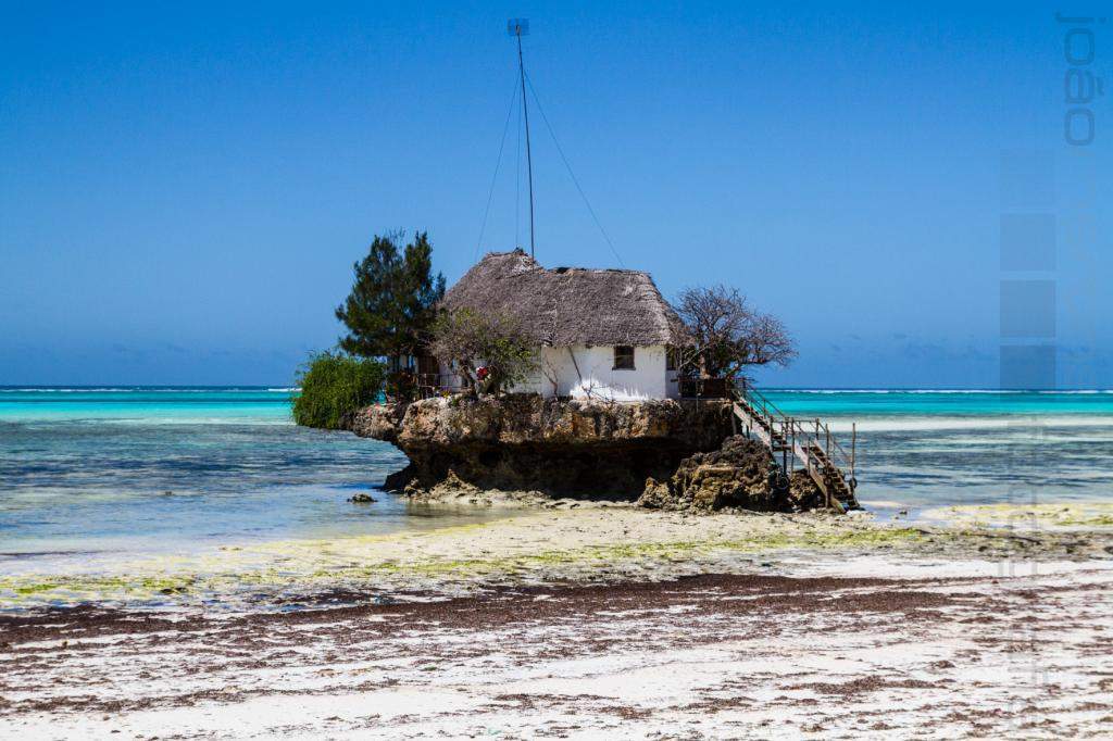 ai966.photobucket.com_albums_ae144_martinsjoao_Zanzibar__MG_2320.jpg