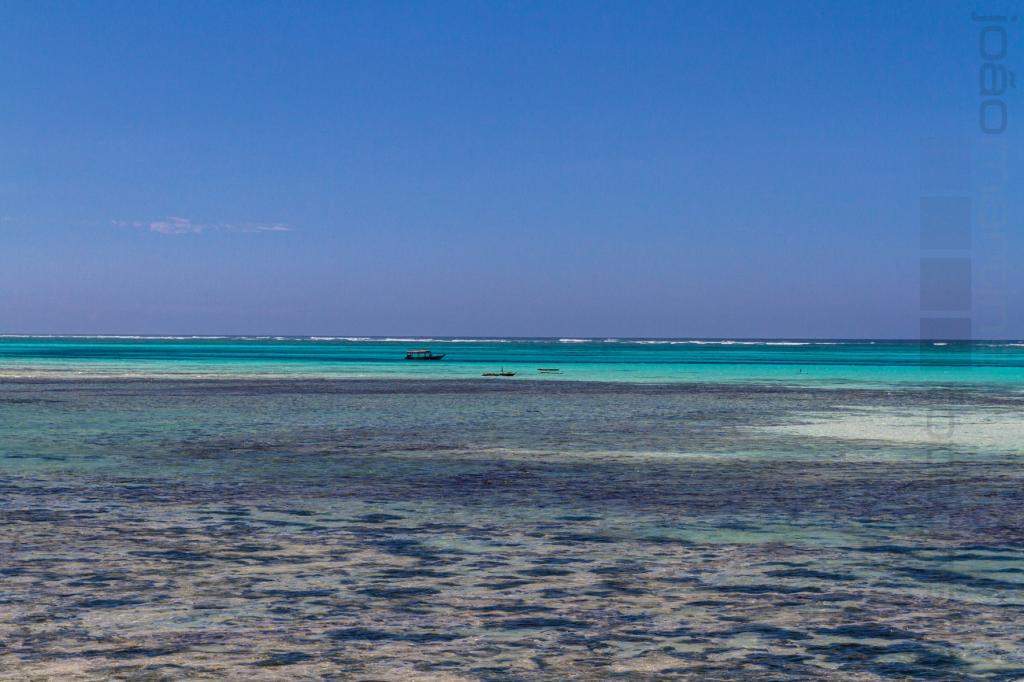 ai966.photobucket.com_albums_ae144_martinsjoao_Zanzibar__MG_2370.jpg