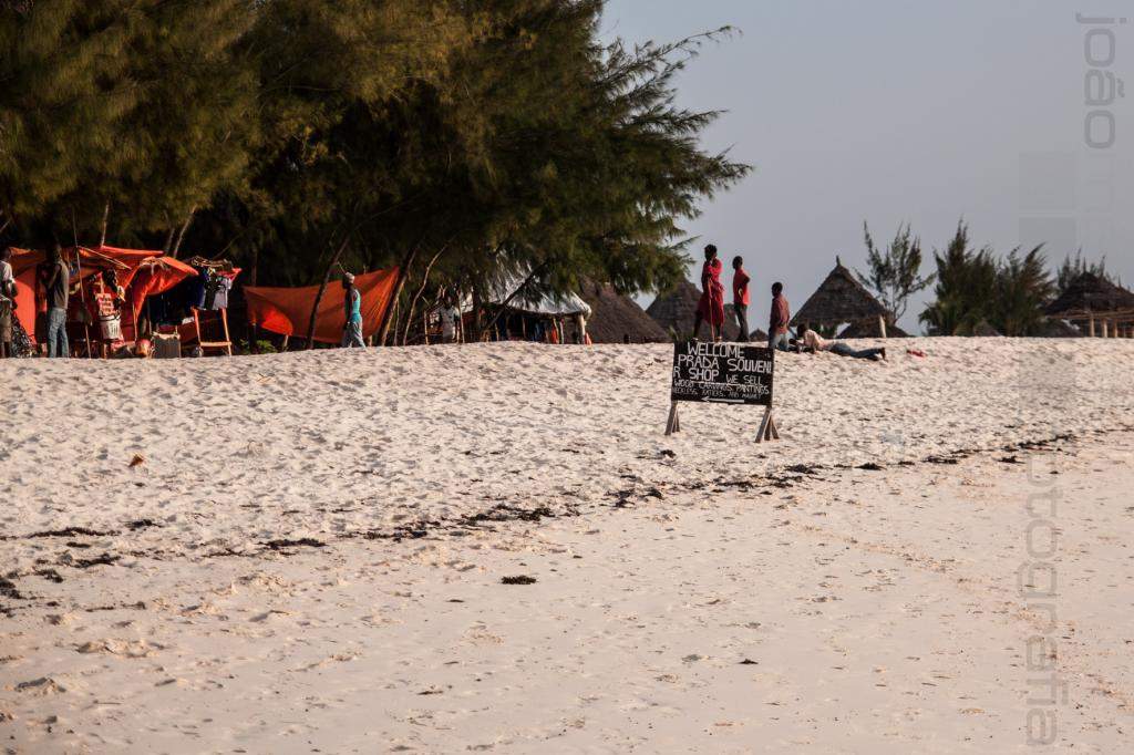 ai966.photobucket.com_albums_ae144_martinsjoao_Zanzibar_IMG_1412.jpg