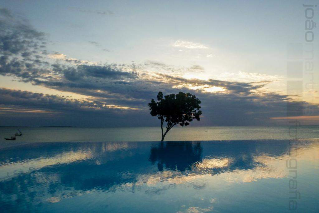 ai966.photobucket.com_albums_ae144_martinsjoao_Zanzibar_P1010273.jpg