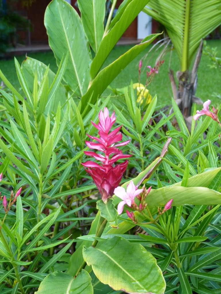 ai969.photobucket.com_albums_ae173_Vonbispus_P1000302.jpg