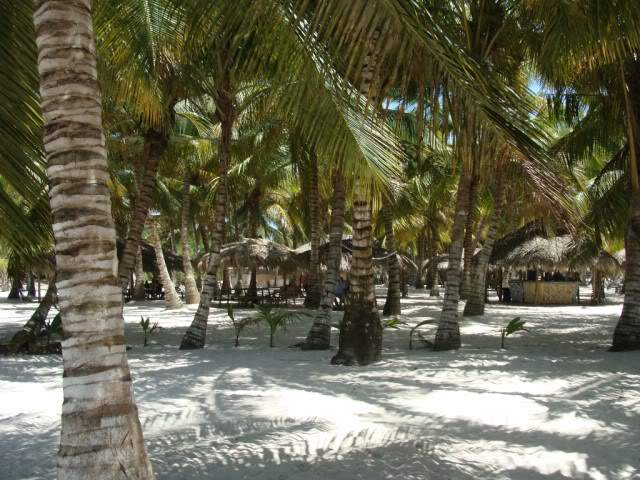ai983.photobucket.com_albums_ae312_jokerPT_Ilha_20Saona_202009df6b9bcb49d53ba7f56eafc56e780a08.jpg