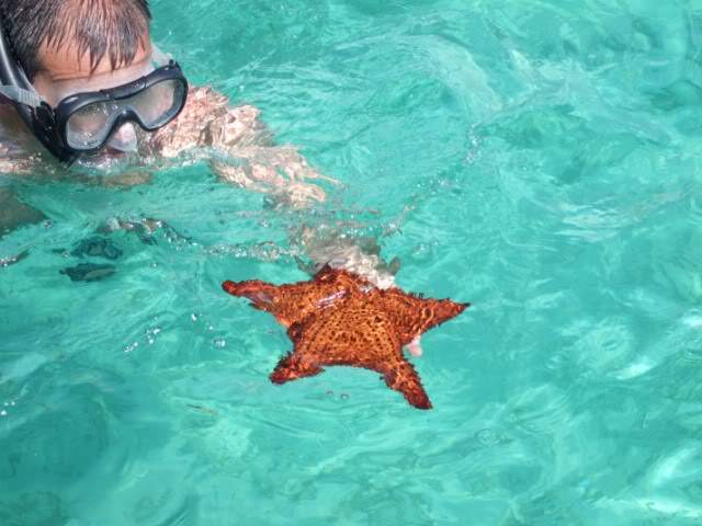 ai983.photobucket.com_albums_ae312_jokerPT_Ilha_20Saona_202009f07c9cf194596a654aad87378d97ce72.jpg