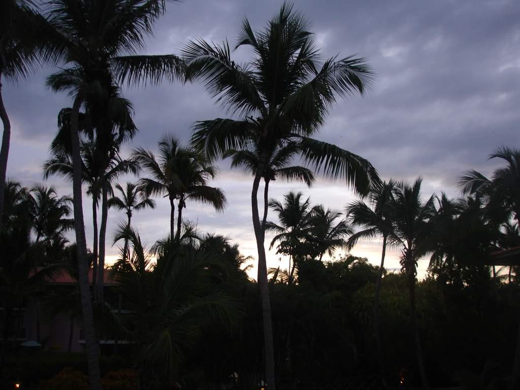 ai986.photobucket.com_albums_ae345_barbaraguima_DSC04509.jpg