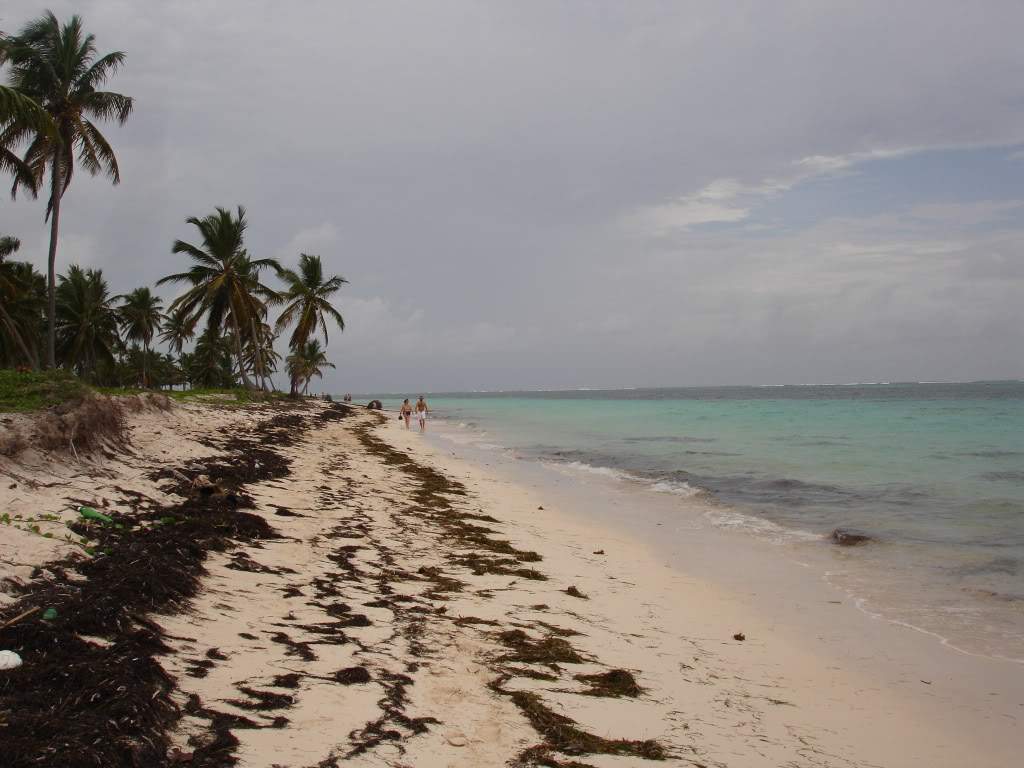 ai986.photobucket.com_albums_ae345_barbaraguima_DSC04570.jpg