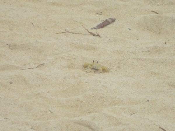 ai997.photobucket.com_albums_af98_deboraruben_DSC00532.jpg