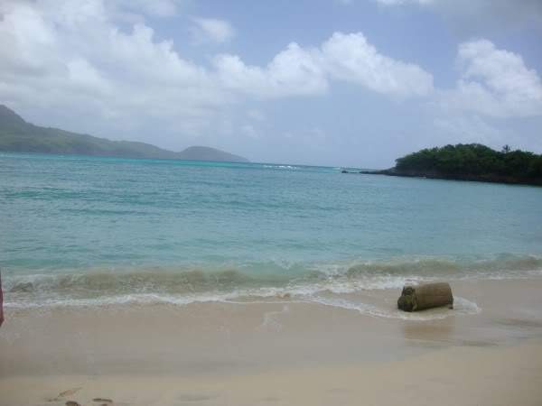 ai997.photobucket.com_albums_af98_deboraruben_DSC00648.jpg