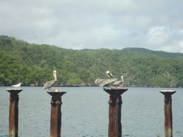 ai997.photobucket.com_albums_af98_deboraruben_DSC00811.jpg
