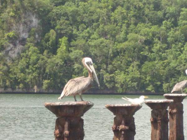 ai997.photobucket.com_albums_af98_deboraruben_DSC00812.jpg