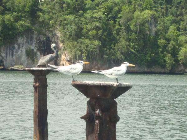 ai997.photobucket.com_albums_af98_deboraruben_DSC00813.jpg