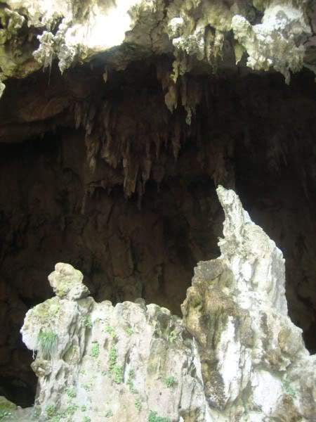 ai997.photobucket.com_albums_af98_deboraruben_DSC00854.jpg