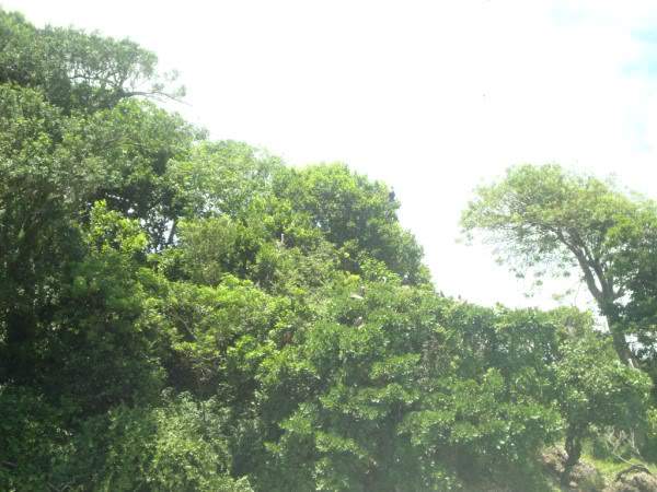 ai997.photobucket.com_albums_af98_deboraruben_DSC00875.jpg