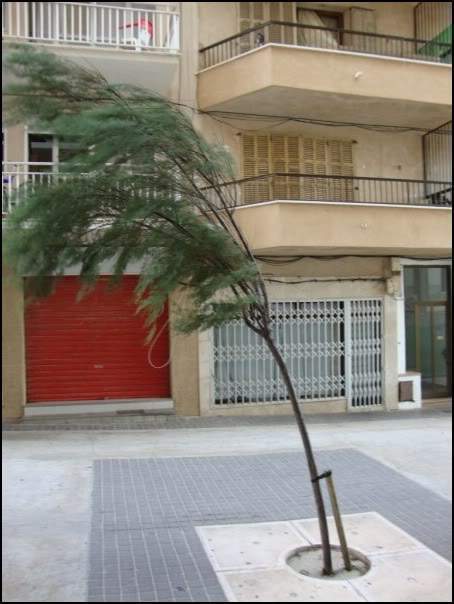 ai997.photobucket.com_albums_af98_deboraruben_Maiorca_202010_14.jpg