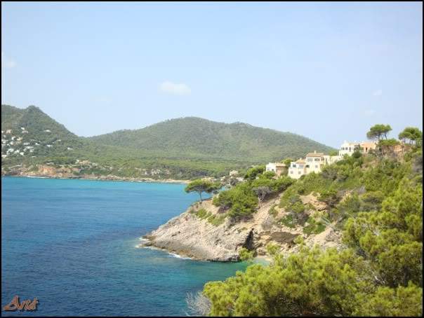 ai997.photobucket.com_albums_af98_deboraruben_Maiorca_202010_20.jpg