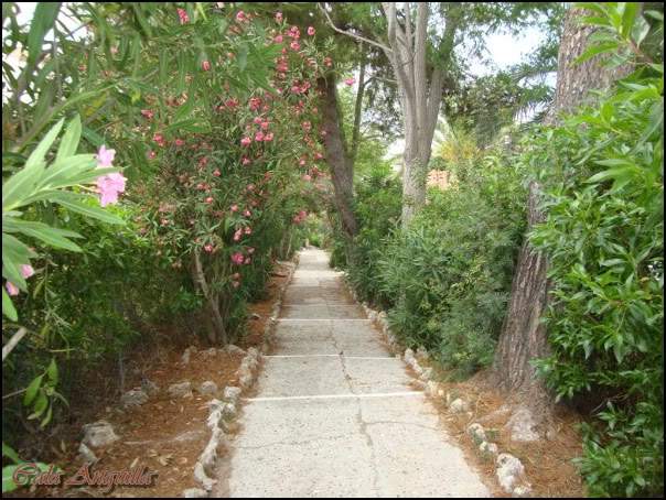 ai997.photobucket.com_albums_af98_deboraruben_Maiorca_202010_41.jpg