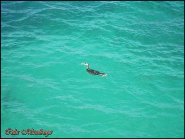 ai997.photobucket.com_albums_af98_deboraruben_Maiorca_202010_60.jpg