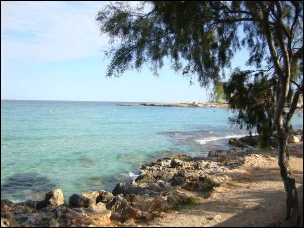 ai997.photobucket.com_albums_af98_deboraruben_Maiorca_202010_9.jpg