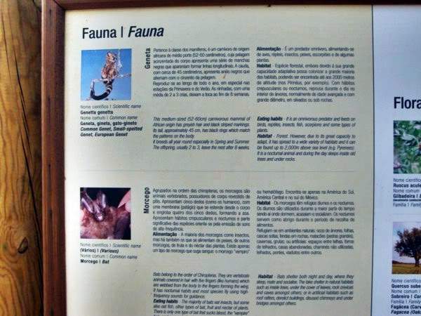 ai997.photobucket.com_albums_af98_deboraruben_Pia_20do_20Urso_18.jpg