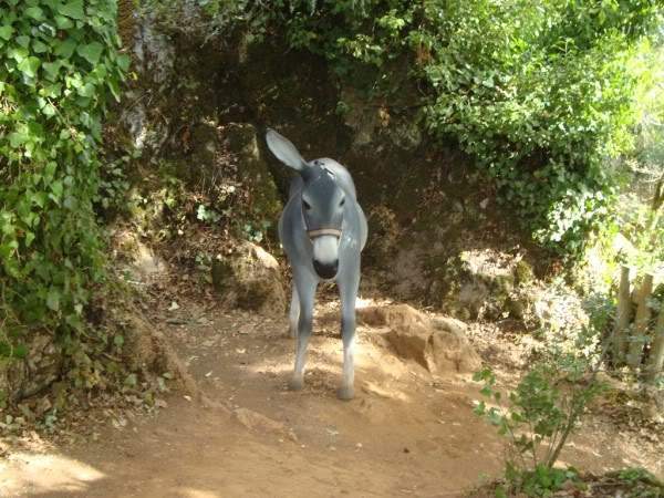ai997.photobucket.com_albums_af98_deboraruben_Pia_20do_20Urso_27.jpg