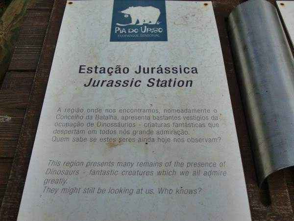 ai997.photobucket.com_albums_af98_deboraruben_Pia_20do_20Urso_29.jpg