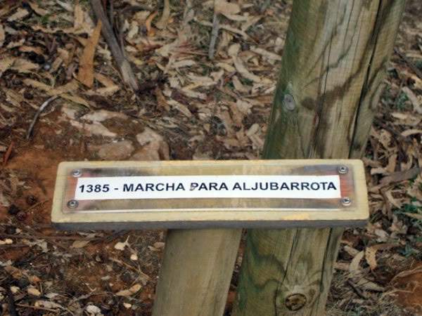 ai997.photobucket.com_albums_af98_deboraruben_Pia_20do_20Urso_34.jpg