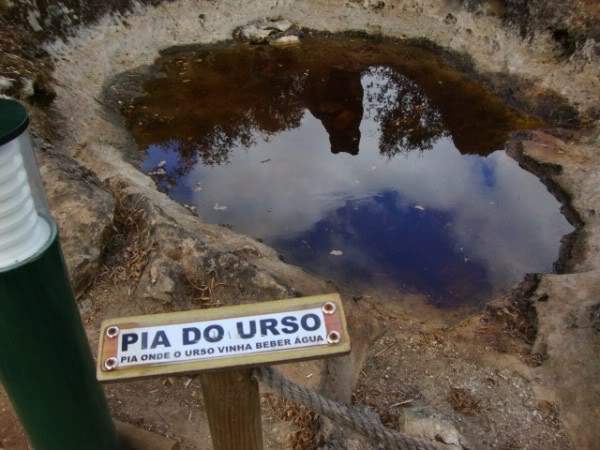 ai997.photobucket.com_albums_af98_deboraruben_Pia_20do_20Urso_48.jpg