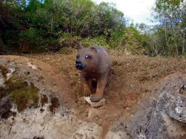 ai997.photobucket.com_albums_af98_deboraruben_Pia_20do_20Urso_50.jpg