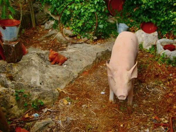 ai997.photobucket.com_albums_af98_deboraruben_Pia_20do_20Urso_62.jpg