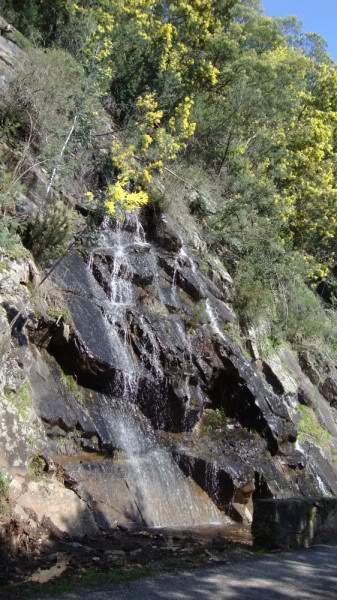ai997.photobucket.com_albums_af98_deboraruben_Serra_20Lousa_DSC01398.jpg