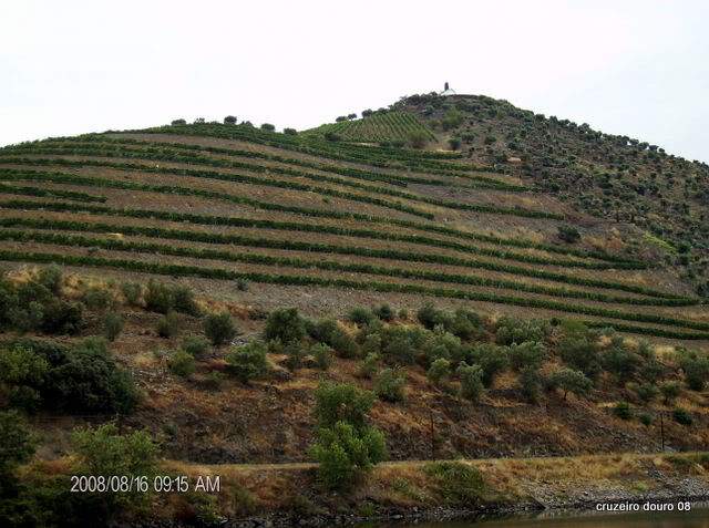 ai998.photobucket.com_albums_af110_tininharibeiro_Douro_vrias099.jpg