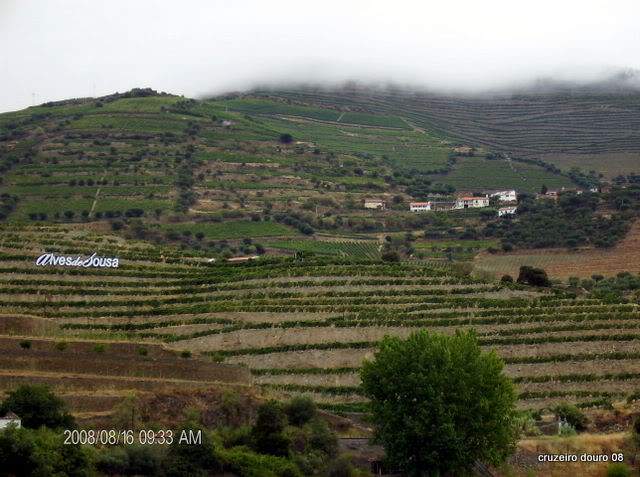 ai998.photobucket.com_albums_af110_tininharibeiro_Douro_vrias113.jpg
