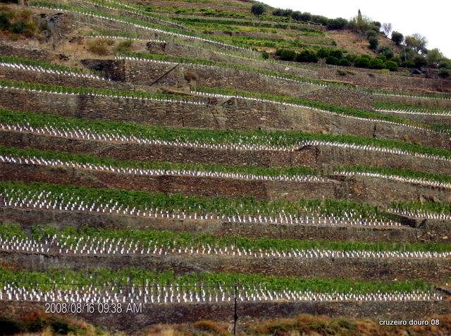 ai998.photobucket.com_albums_af110_tininharibeiro_Douro_vrias121.jpg