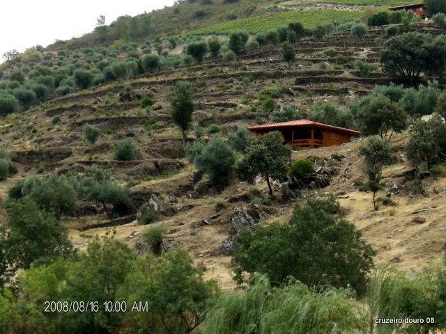 ai998.photobucket.com_albums_af110_tininharibeiro_Douro_vrias141.jpg