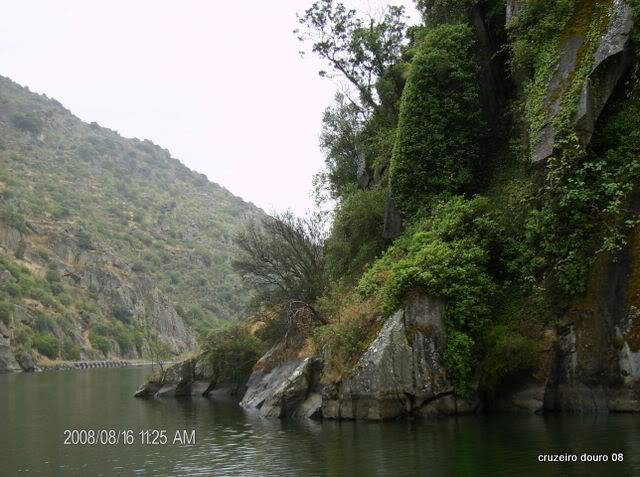 ai998.photobucket.com_albums_af110_tininharibeiro_Douro_vrias186.jpg