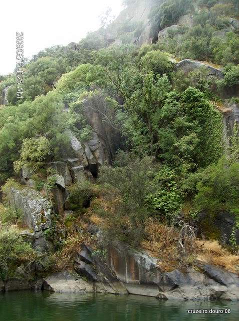 ai998.photobucket.com_albums_af110_tininharibeiro_Douro_vrias187.jpg