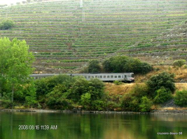 ai998.photobucket.com_albums_af110_tininharibeiro_Douro_vrias204.jpg