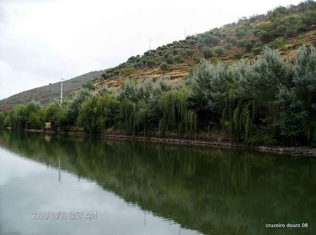 ai998.photobucket.com_albums_af110_tininharibeiro_Douro_vrias235.jpg