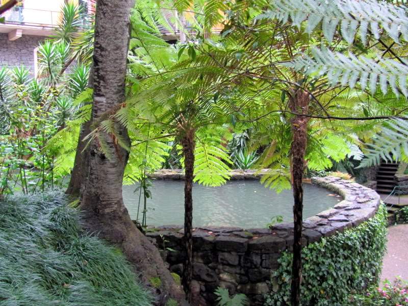 ai998.photobucket.com_albums_af110_tininharibeiro_MADEIRA_MADEIRA2011304.jpg
