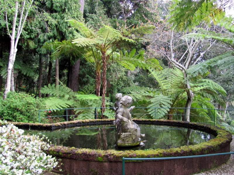 ai998.photobucket.com_albums_af110_tininharibeiro_MADEIRA_MADEIRA2011321.jpg