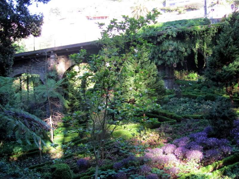 ai998.photobucket.com_albums_af110_tininharibeiro_MADEIRA_MADEIRA2011491.jpg