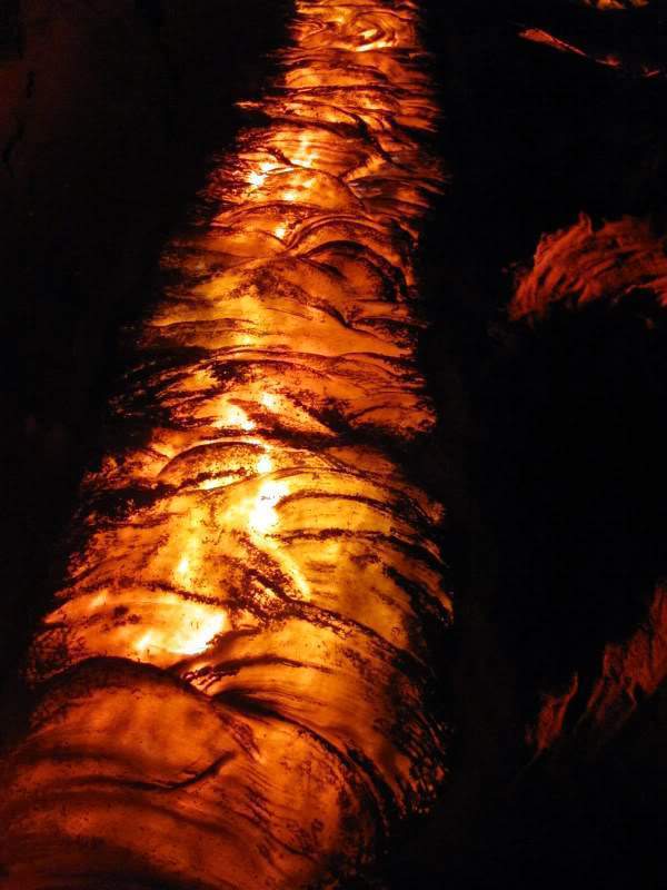ai998.photobucket.com_albums_af110_tininharibeiro_MADEIRA_MADEIRA2011565.jpg